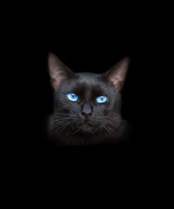 Panel welur głowa kota niebieski oczy czarny
