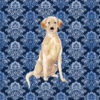 Panel wodoodporny ornament granatowy Labrador