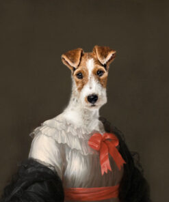 Panel welur jack russell terrier szorstkowłosy portret