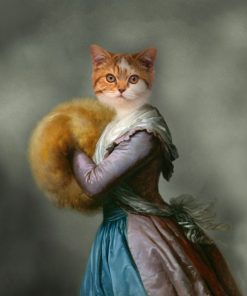Panel welur kot brytyjski krótkowłosy portret