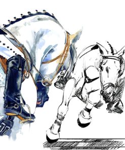 Panel welur konie jeździectwo