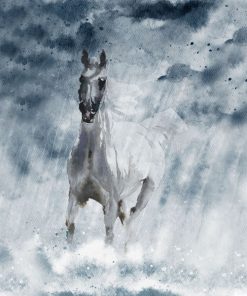 Panel welur koń mustang w deszczu