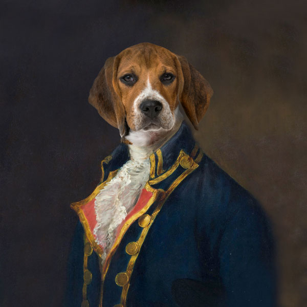 Vandtæt panel beagle hund mandlig portræt #imensioning