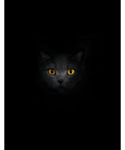 Panel welur prostokąt kot w ciemności żółte oczy