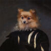 Panel welur pies szpic miniaturowy pomeranian portret