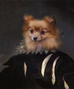 Panel welur pies szpic miniaturowy pomeranian portret