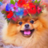Panel welur portret szpicla miniaturowego pomeranian w wieńcu z kolorowych kwiatów