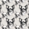 Welur tapicerski chihuahua długowłose 2