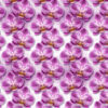 Tkanina wodoodporna kolorowe kwiaty orchidee 15