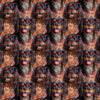 Welur tapicerski cavalier king charles spaniel 13