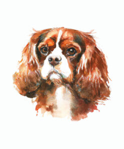 Panel welur Cavalier King Charles Spaniel 3