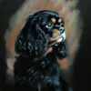 Panel wodoodporny Cavalier King Charles Spaniel 5