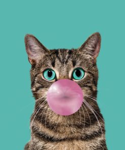 Panel welur kot bubble gum cat 2