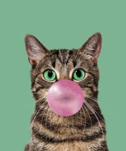 Panel welur kot bubble gum cat 3