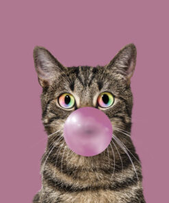 Panel welur kot bubble gum cat 4