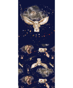Panel 42x100cm magia sowa
