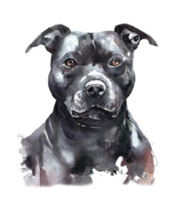Panel wodoodporny staffordshire pitbull terrier 1