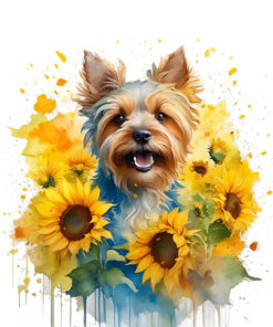 Panel welur pies yorkshire terrier 11