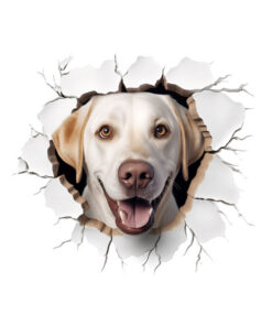 Panel welur popękana ściana labrador retriever 2