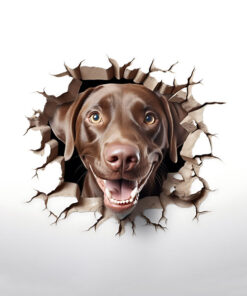 Panel welur popękana ściana labrador retriever 1