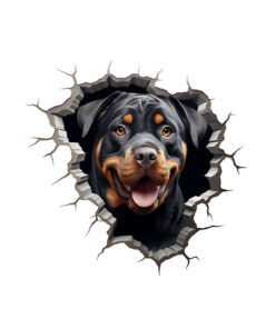 Panel welur popękana ściana rottweiler