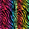Tkanina wodoodporna futro zebra 9